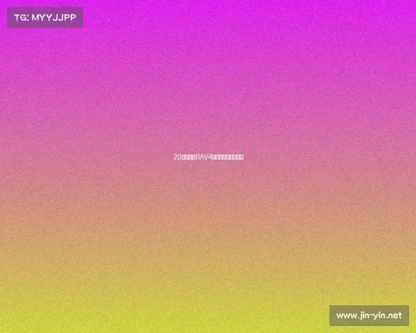 20款丰田新RAV4荣放加装车顶行李架 20款丰田新RAV4荣放加装车顶行李架